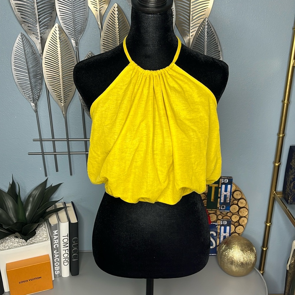 ZARA Open Back Crop Halter Top